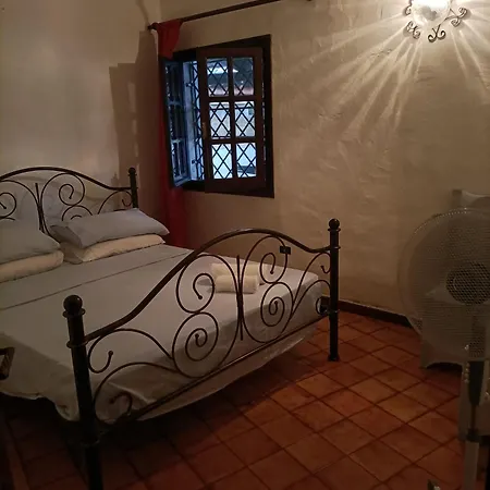 Bed and Breakfast Buddha Summer Iun R6153 Όλμπια
